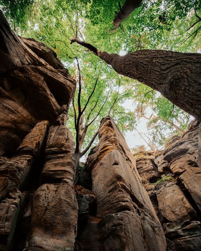 Mullerthal Trail