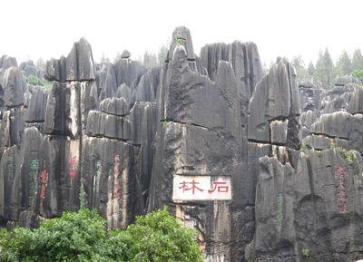 Stone Forest (1).jpg