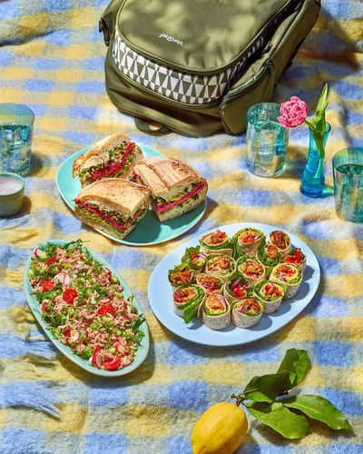 Picnicshoot-NancyAnnePhotography39 (2).jpg