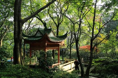 Eling Park (2).jpg
