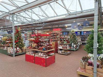 Hillier Garden Centres and Nurseries - Christmas 2024