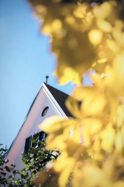 Haus hinter Herbstlaub©Frieder Blickle.jpg