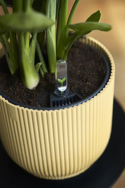 Vibes fold round with self-watering insert