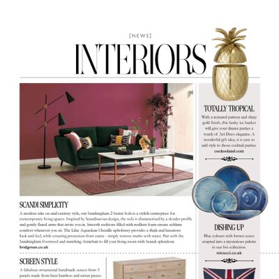 Screencapture of Essex Life