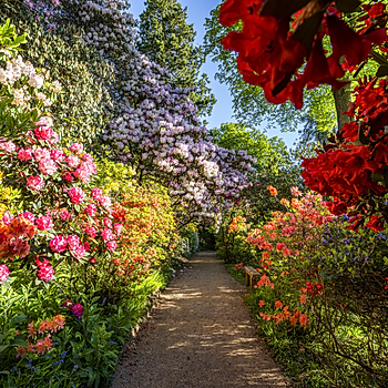 Leonardslee_Gardens-2.jpg