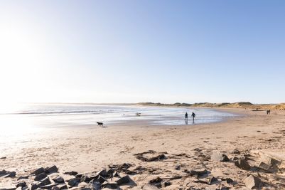 Beadnell Bay_Coastal (30).jpg