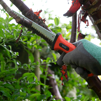 Pruning saw.jpg