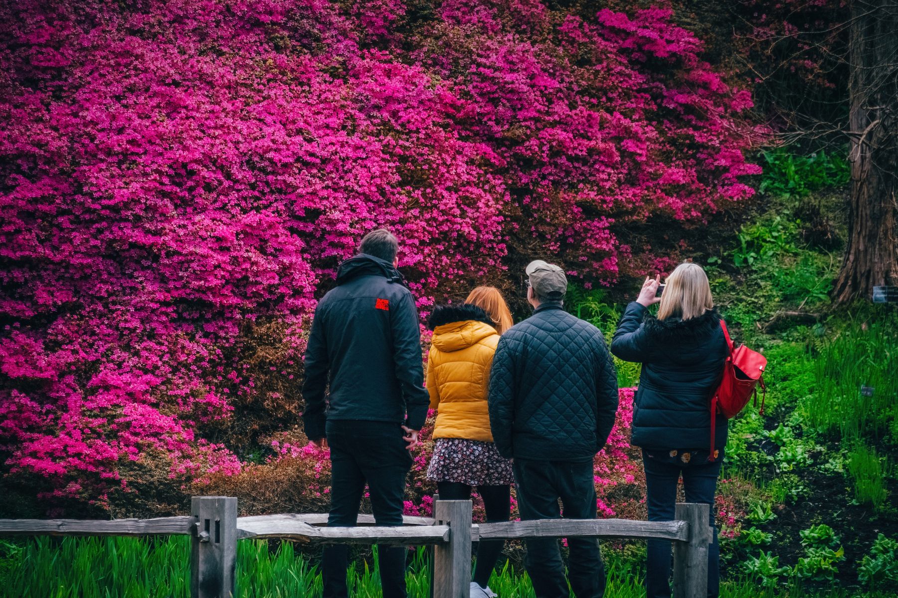 Wakehurst in West Sussex