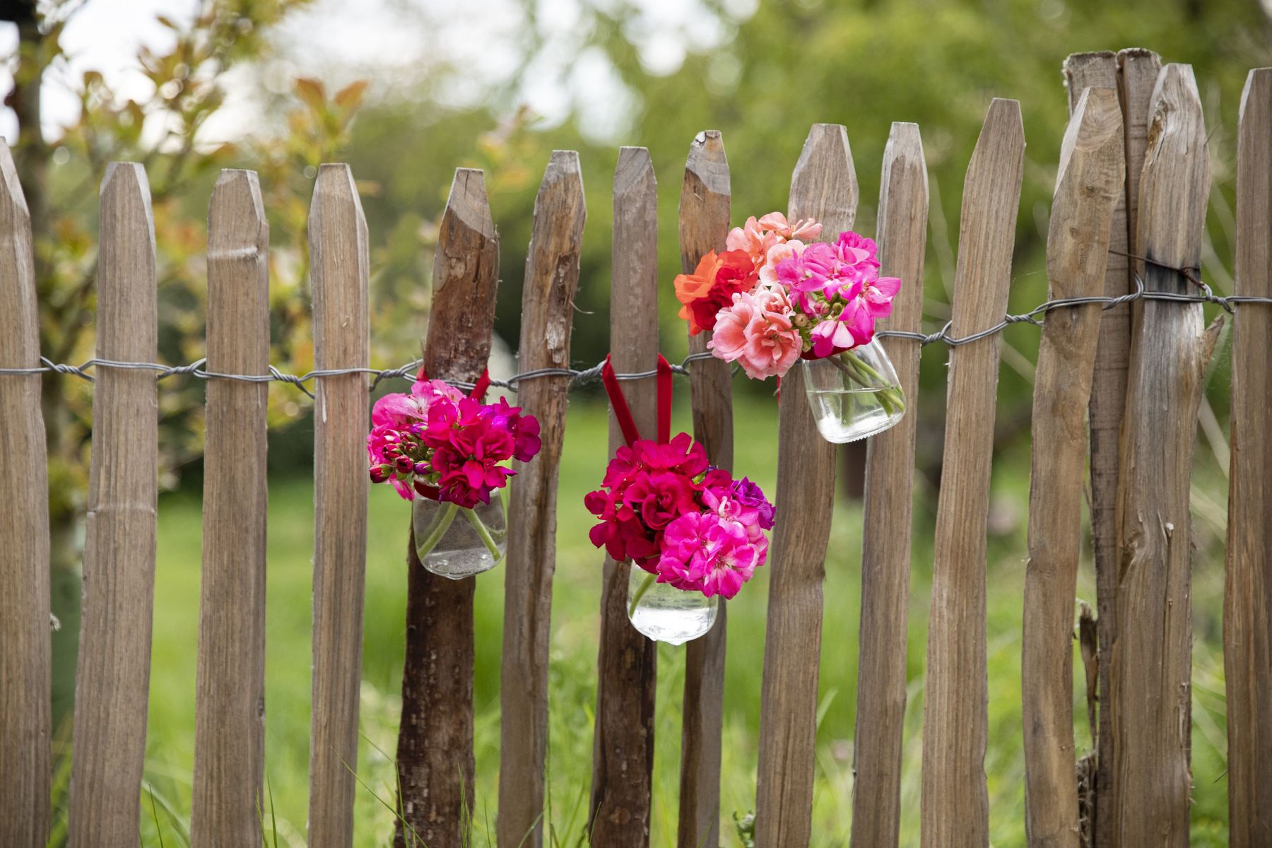 2023_Geraniums_4000_Warm_Country_Chic_10.jpg