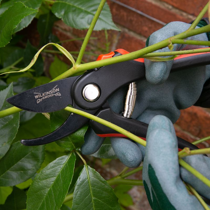 Bypass Pruners