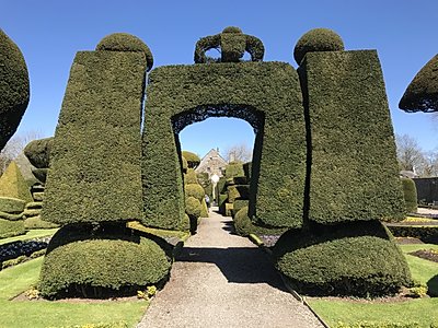 Topiary at Levens Hall, Cumbria, UK