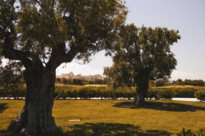 BorgoEgnazia_Ph.AldoRicci (10).JPG