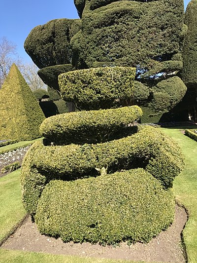 Topiary at Levens Hall, Cumbria, UK