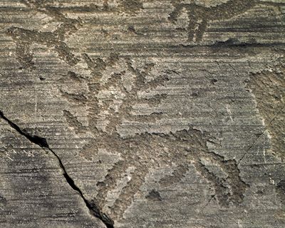 Rock Drawings in Val Camonica shutterstock_779833411.jpg