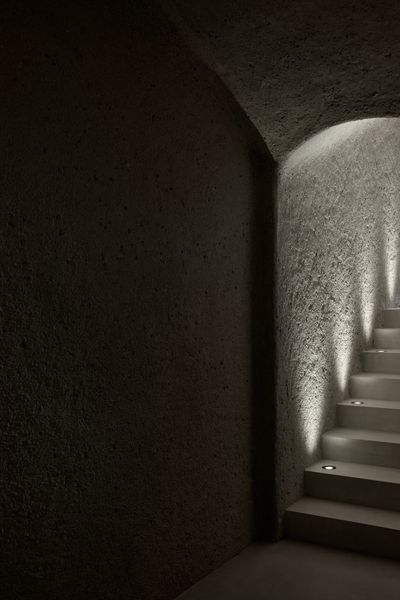 Weinkeller-Wine Cellar_©FORESTIS (1).jpg
