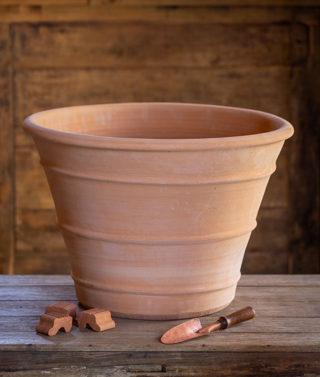 Amari Terracotta Pot (Credit - Jonathan Buckley).jpg