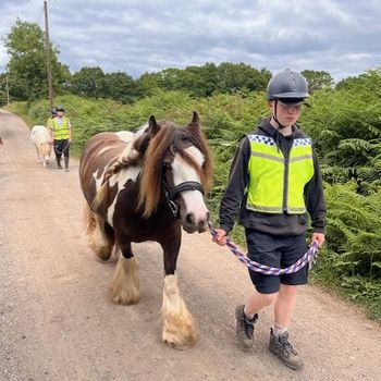 Therapeutic Equine Assisted Learning CIC 6.jpg