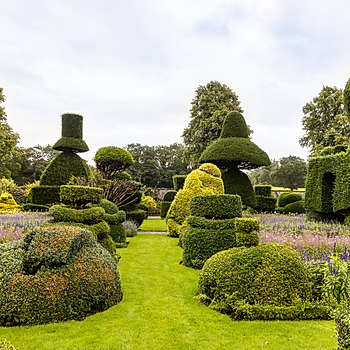 Editorial use only photo showing topiary garden at Levens Hall and Gardens, near Kendal, Cumbria