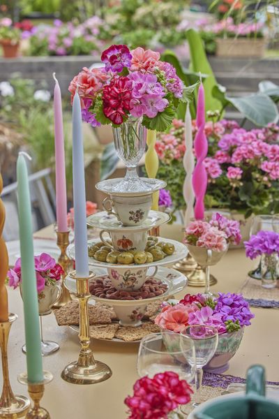 2024-Geraniums-3000-Hippy-Flower-Power-12.jpg