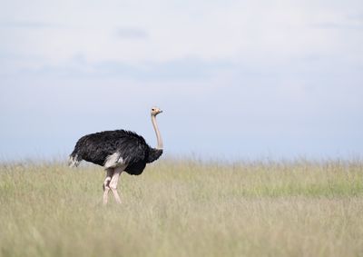 _DSC7814.jpg