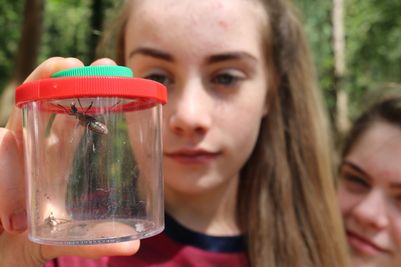 New natural history GCSE 'major win' for young people and the environment.jpg