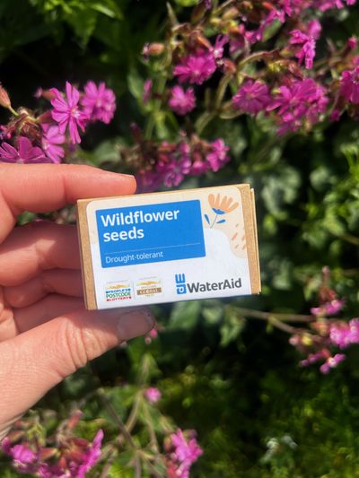 WaterAid match boxes for Chelsea garden