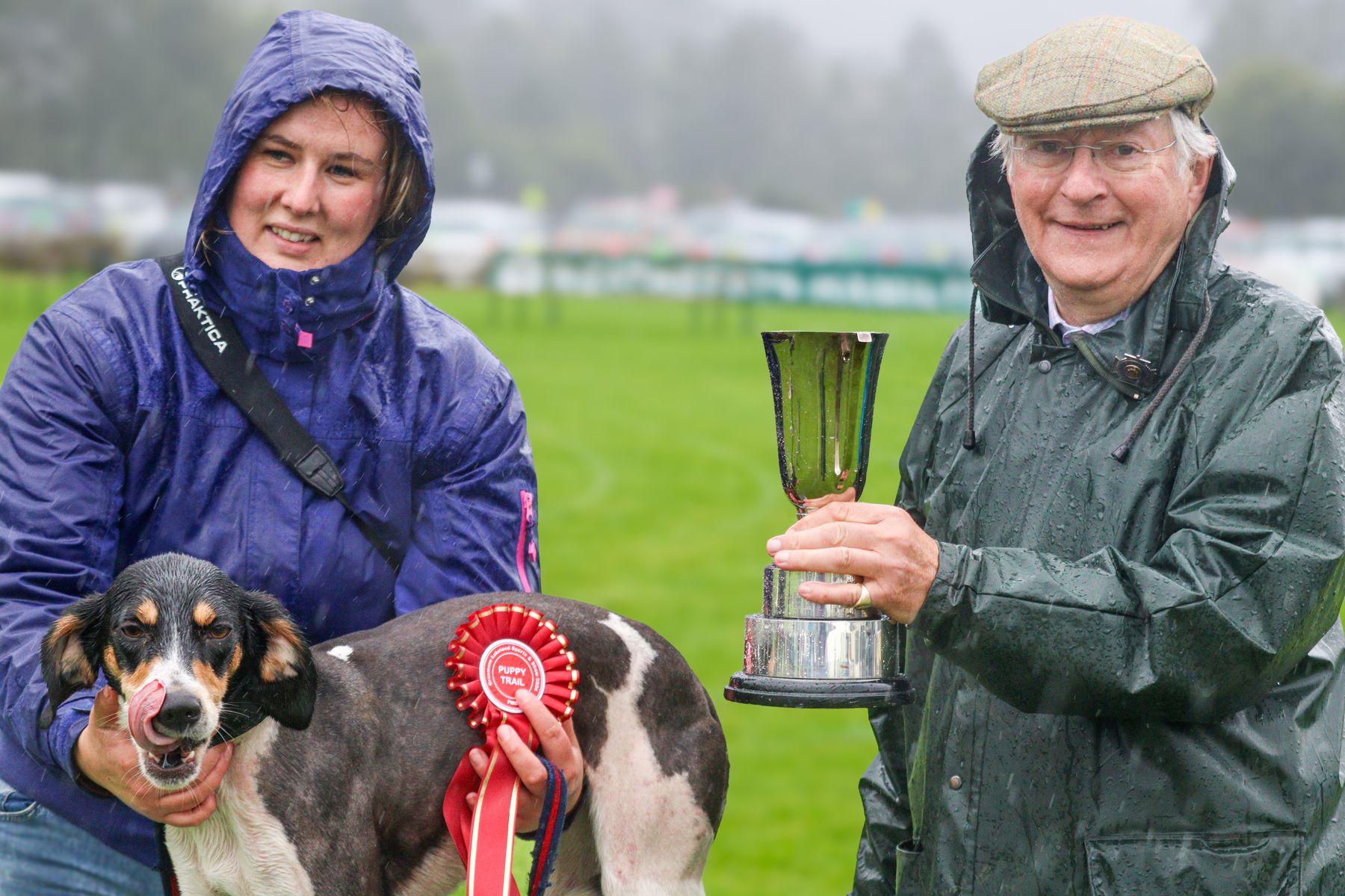 Puppy Trail winner in the 2024 Grasmere Sports hound trailing event, Huntsman's Time, 