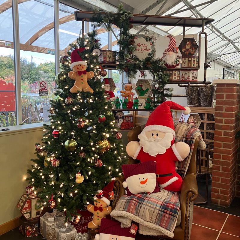 Hillier Garden Centres and Nurseries - Christmas 2024