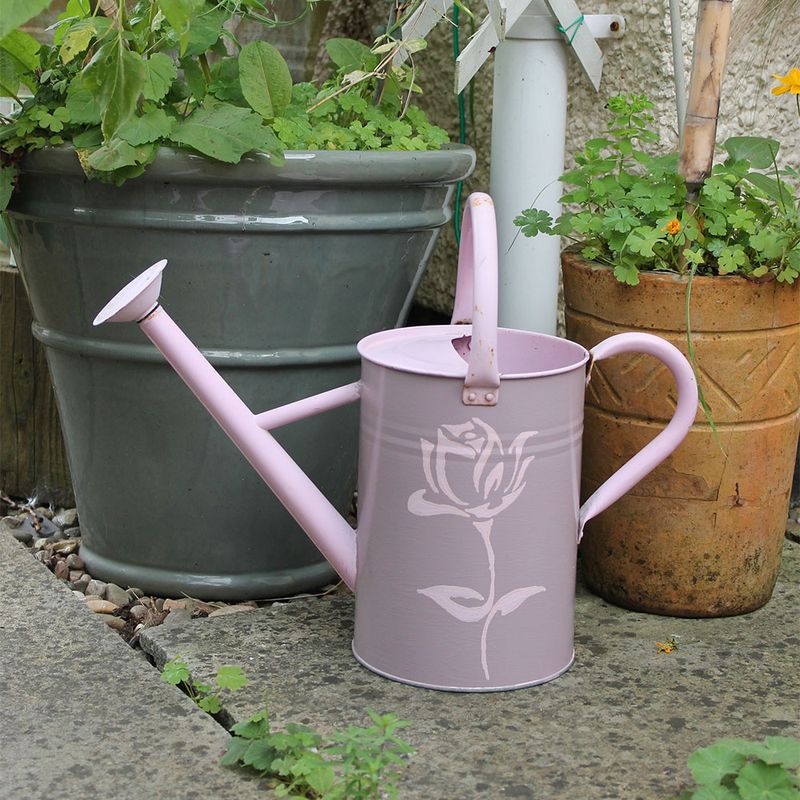 Metal Watering Can in Thorndown's Rock Rose and Cheddar Pink Wood Paint