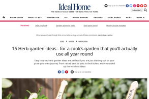 Screencapture of Ideal Home