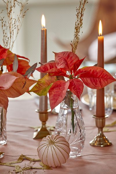2022_poinsettia_04000_Christmas_Fairy_Tale_07.jpg