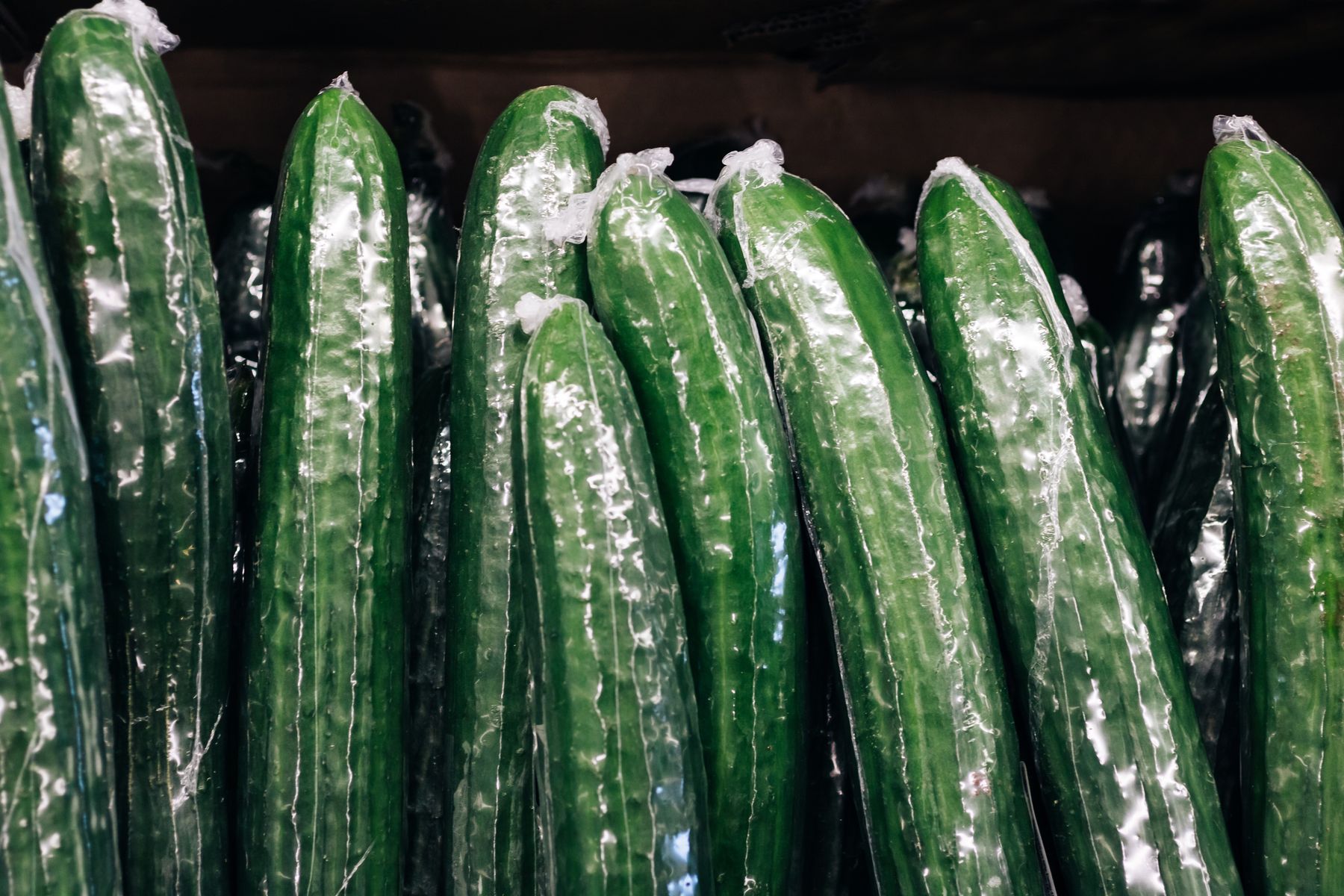 AdobeStock_317229541.jpeg