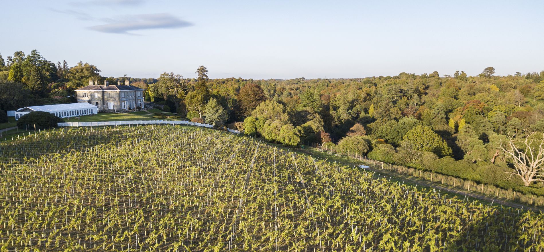 Leonardslee House and Vineyard.jpg