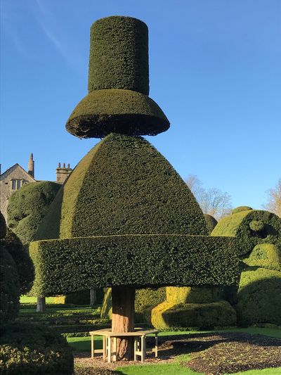 Topiary at Levens Hall, Cumbria, UK