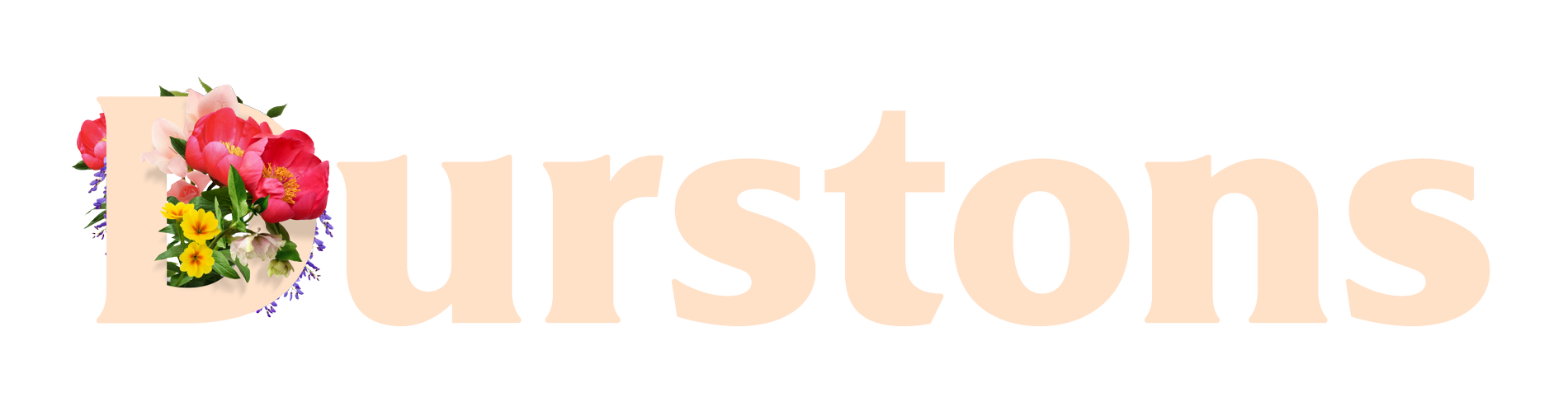 Durstons logo white