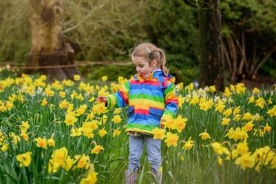 Wakehurst Spring, Jim Holden © RBG Kew 2.jpg