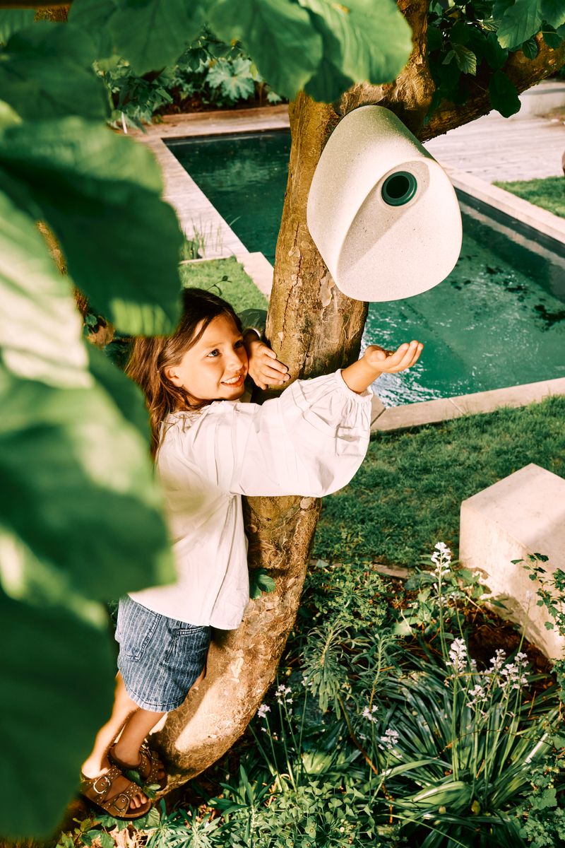B's essential bird house