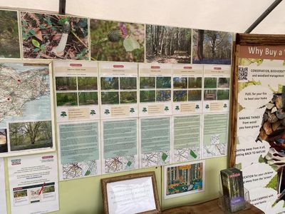 Woodlands Show 2.jpg