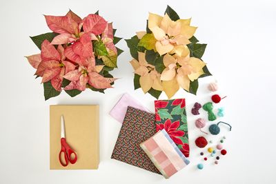 2022_poinsettia_05130_DIY_Reusable_Japanese_Gift_Wrap_01.jpg