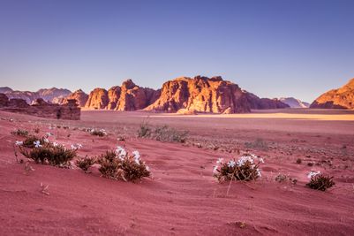 WadiRumdesertValleyoftheMoondreamstimel72147406[1].jpg