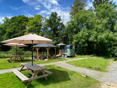 Cosmos Camping 2.jpg