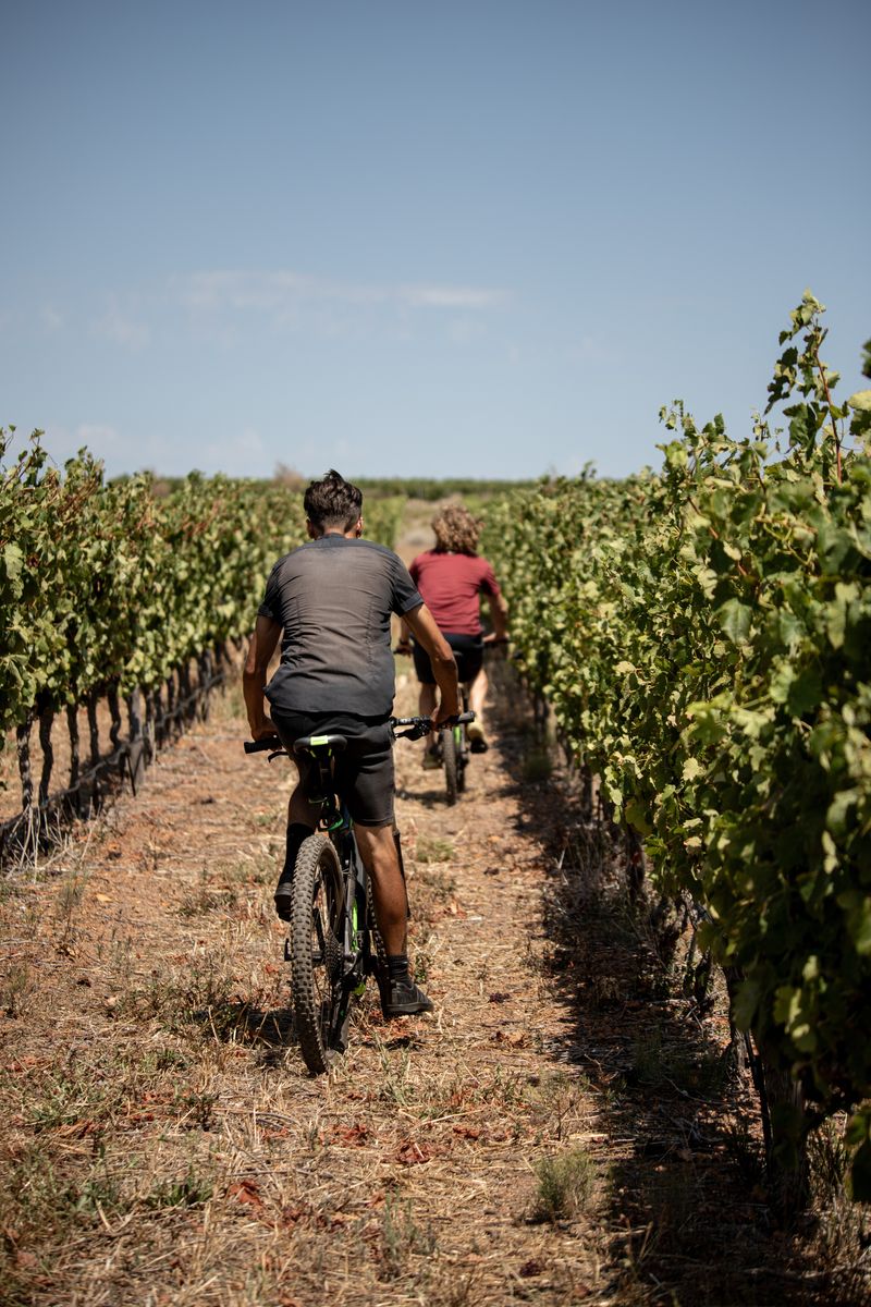 Benguela Cove- bike and wine-12.jpg