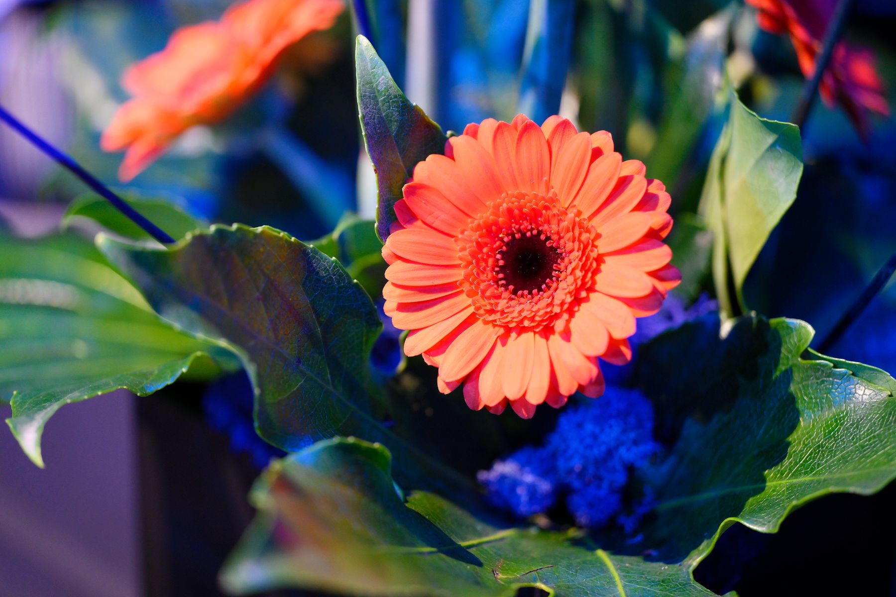 Moulton College Floristry students put on a ‘blooming beautiful’ display