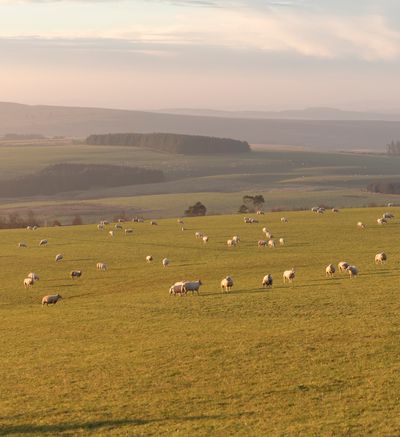 Scottish Borders_Landscapes (10).jpg