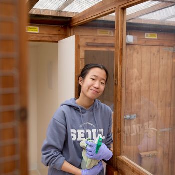Moulton College student Anna is on work experience at Cloverlea Cattery