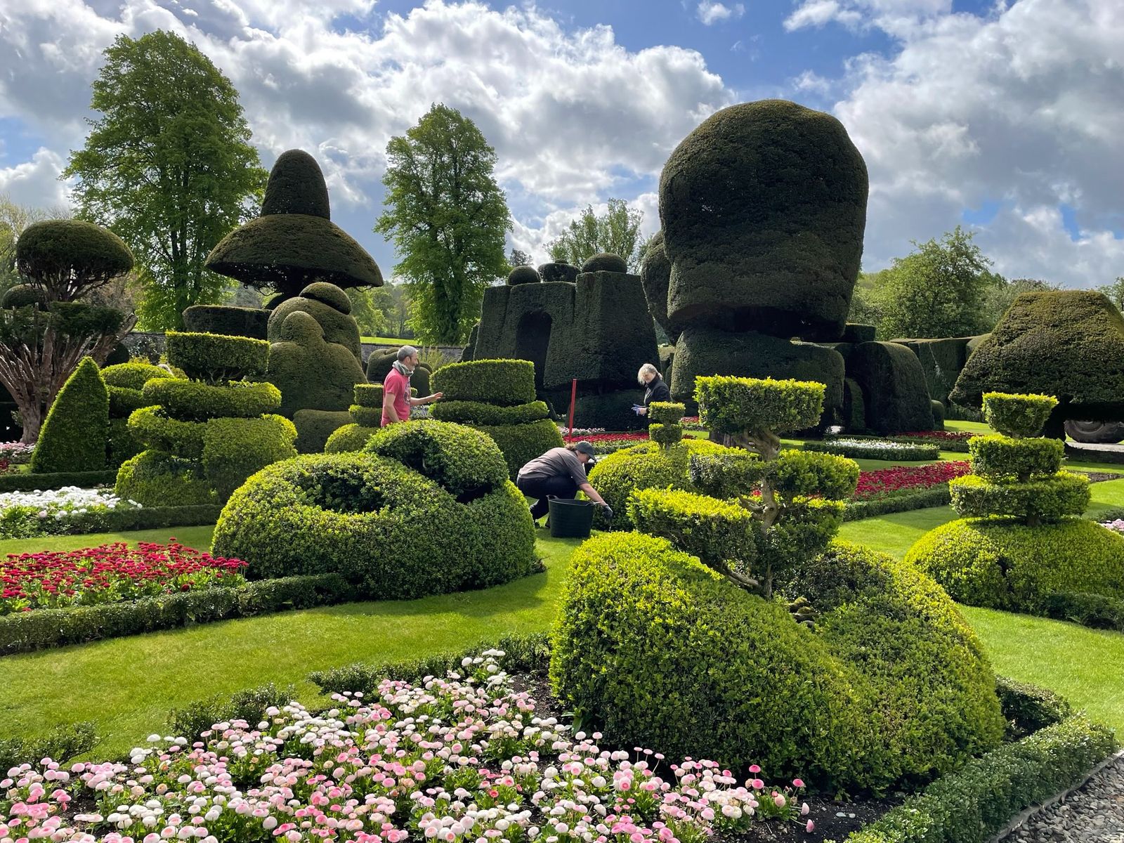 Part of the world's oldest topiary garden at Levens Hall and Gardens, Cumbria, the founder of World Topiary Day