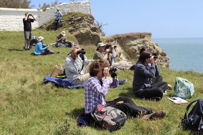 Image 3 New marine eco-courses to boost number of UK-based citizen scientists .jpg