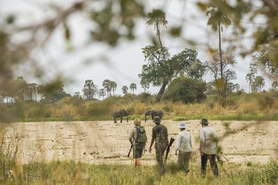 P_Asilia Lodges & Camps_Tanzania_Ruaha National Park_Jabali Private House_Activities_Walking Safari.jpg