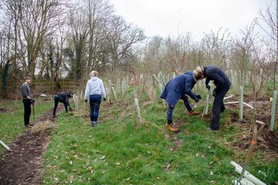 Ecotone employees take Green Leave to plant 1,000 trees at Shinfield St. Mary’s School in Reading with The Tree Council, photo credit - Simon Murrell photography (4).jpg