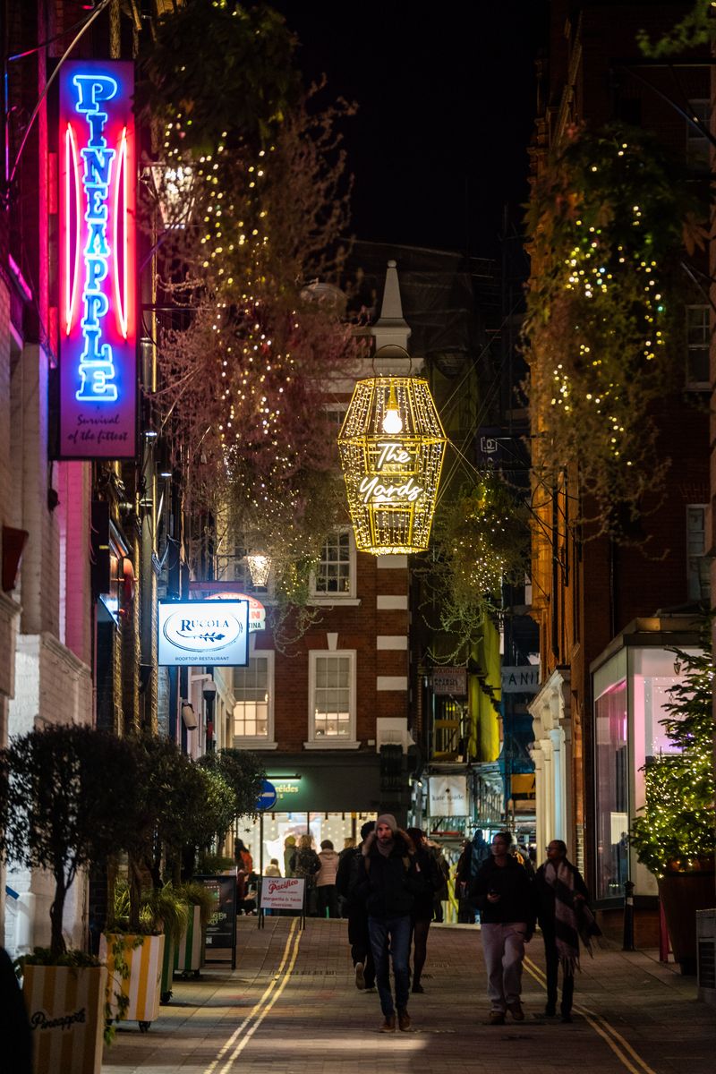 PinPep_TheYardsXmasLights_SJ_118.JPG
